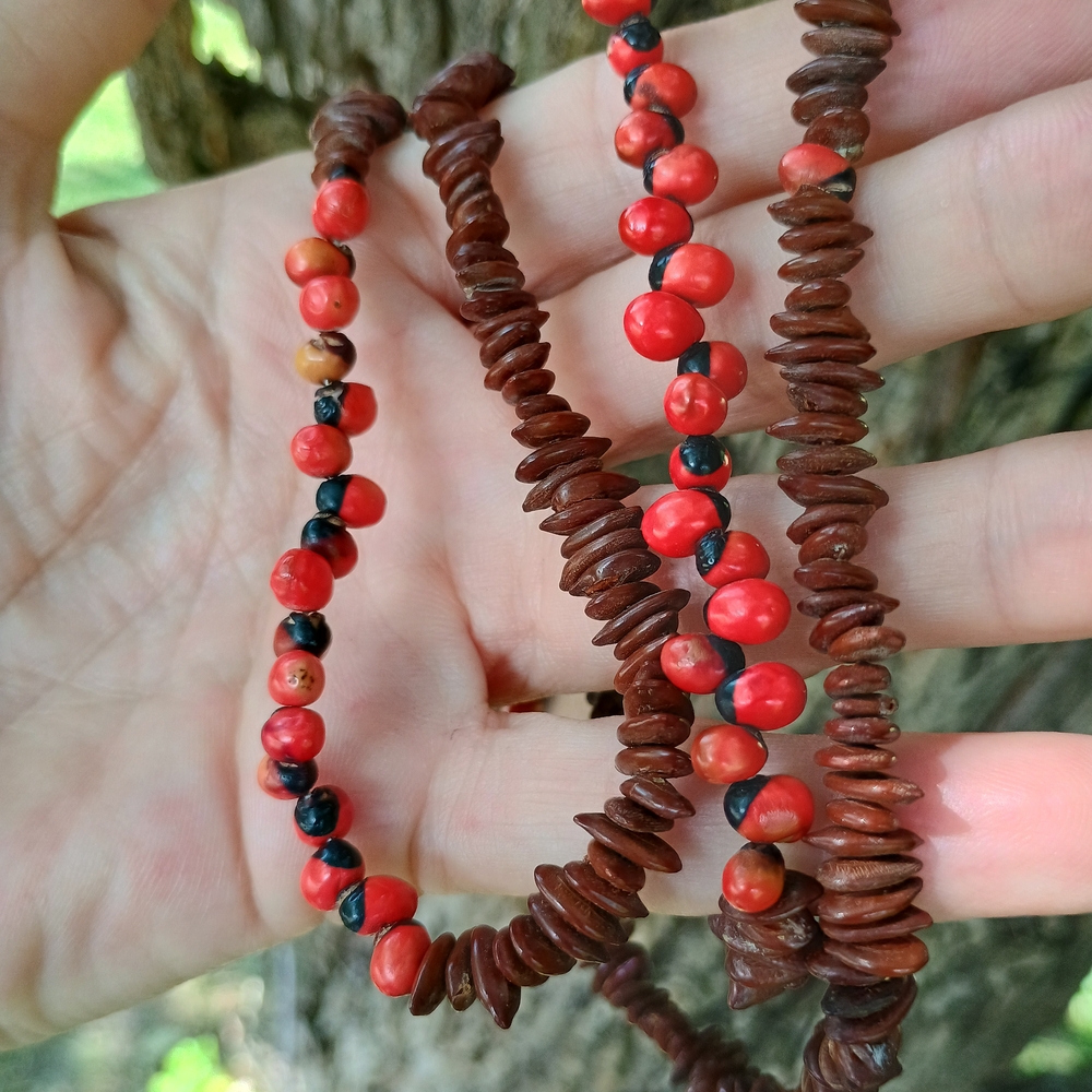 Handmade vintage Hawaiian koa seed and Amazonian huayruro seed necklace, namaste